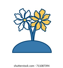 Beautiful decorative flowers