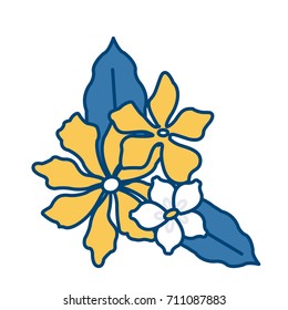 Beautiful decorative flowers