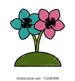 Beautiful decorative flowers