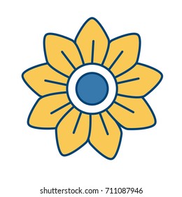 Beautiful decorative flowers