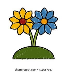 Beautiful decorative flowers