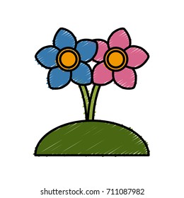 Beautiful decorative flowers