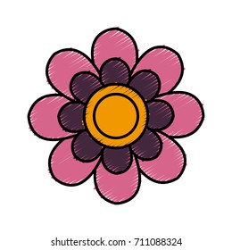 Beautiful decorative flowers