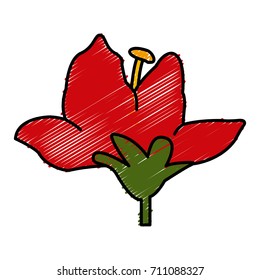 Beautiful decorative flowers