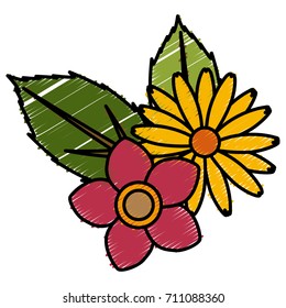Beautiful decorative flowers