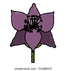 Beautiful decorative flowers