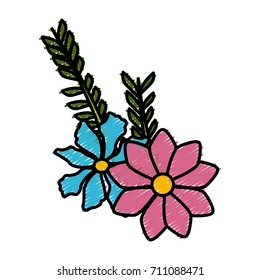 Beautiful decorative flowers