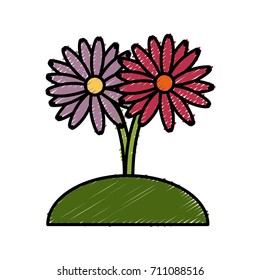 Beautiful decorative flowers