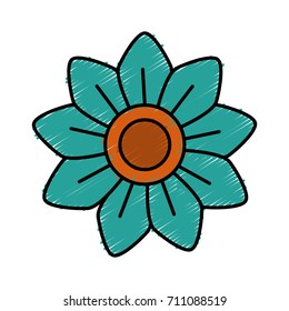 Beautiful decorative flowers