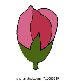Beautiful decorative flowers