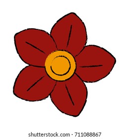 Beautiful decorative flowers