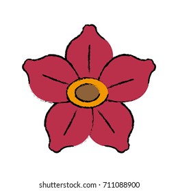 Beautiful decorative flowers