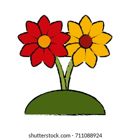 Beautiful decorative flowers