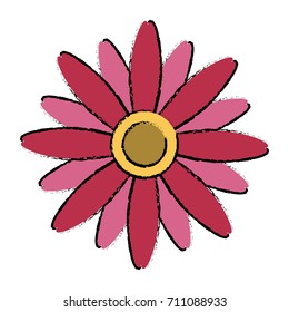 Beautiful decorative flowers