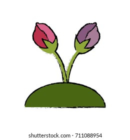 Beautiful decorative flowers