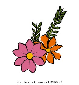 Beautiful decorative flowers