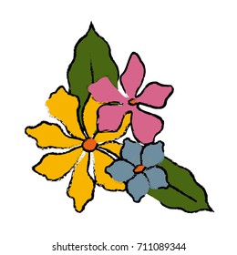 Beautiful decorative flowers