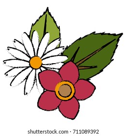 Beautiful decorative flowers
