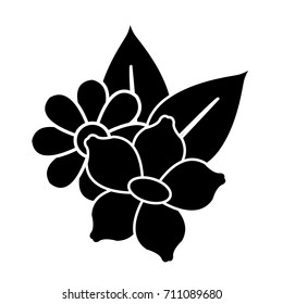 Beautiful decorative flowers