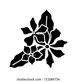 Beautiful decorative flowers