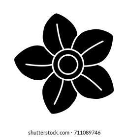 Beautiful decorative flowers