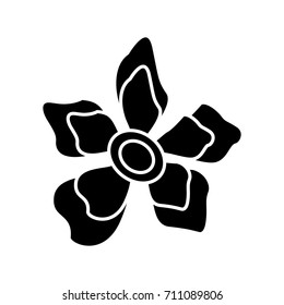 Beautiful decorative flowers