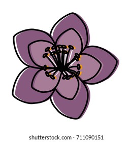 Beautiful decorative flowers