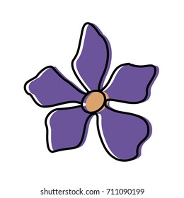 Beautiful decorative flowers