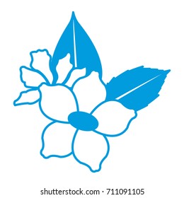 Beautiful decorative flowers