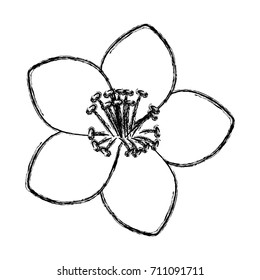 Beautiful decorative flowers