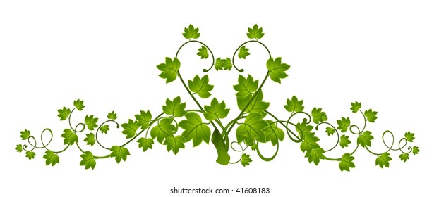 Beautiful decorative framework from leaves for design