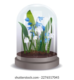 A beautiful decorative gift with the first spring flowers, a white snowdrop and blue scillas under a glass dome