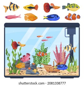 Beautiful decorative home aquarium with different fish types set vector flat illustration. Exotic nautical pet at glass container with corals, water plants and decorative elements isolated on white