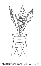 Beautiful decorative  indoor plant coloring page