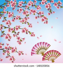 Beautiful decorative Japanese background with sakura blossom  - Japanese cherry tree and two open fans. Vector illustration