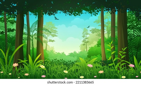 Beautiful Deep Tropical Rain Forest Clearing, nature landscape vector illustration