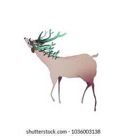 Beautiful deer isolated vector illustration
