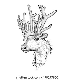 Beautiful deer. Vector illustration for a card or poster. Print on clothes. Fashion & Style. Wild animal.