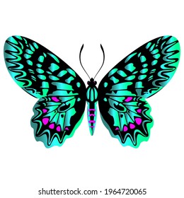 Beautiful, delicate and airy butterfly, green. Vector graphics on a white background.