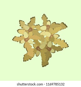 beautiful delicate autumn pattern with acorns