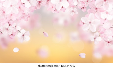 Beautiful delicate background with blossoming light pink sakura flowers with place for text. Delicate floral design. Realistic  vector illustration.