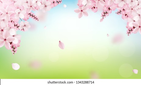 Beautiful delicate background with blossoming light pink sakura flowers with place for text. Delicate floral design. Realistic vector illustration. Modern nature backdrop. Ecology concept.
