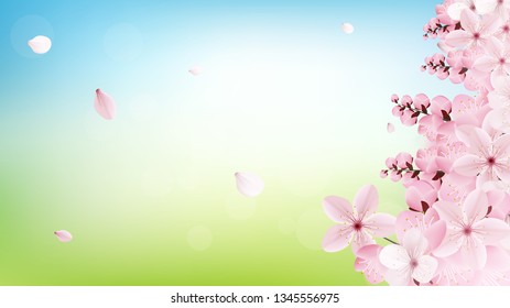Beautiful delicate background with blossoming light pink sakura flowers with place for text. Delicate floral design. Realistic vector illustration. Modern nature backdrop. Ecology concept.
