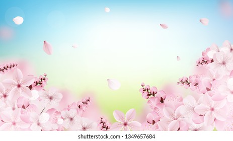 Beautiful delicate background with blossoming light pink sakura flowers with place for text. Delicate floral design. Realistic vector illustration. Modern nature backdrop. Ecology concept.
