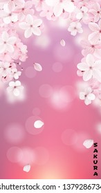 Beautiful delicate background with blossoming light pink sakura flowers with place for text. Delicate floral design. Vertical realistic vector illustration.