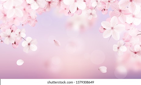 Beautiful delicate background with blossoming light pink sakura flowers with place for text. Delicate floral design. Realistic  vector illustration.