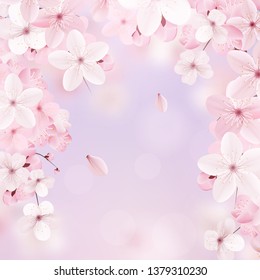 Beautiful delicate background with blossoming light pink sakura flowers with place for text. Delicate floral design. Vertical realistic vector illustration.