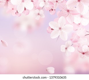 Beautiful delicate background with blossoming light pink sakura flowers with place for text. Delicate floral design. Realistic  vector illustration.