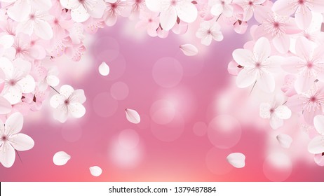 Beautiful delicate background with blossoming light pink sakura flowers with place for text. Delicate floral design. Realistic  vector illustration.