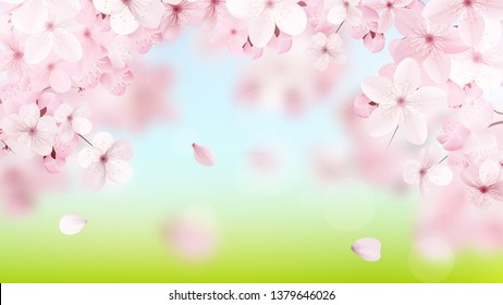 Beautiful delicate background with blossoming light pink sakura flowers with place for text. Delicate floral design. Realistic  vector illustration.